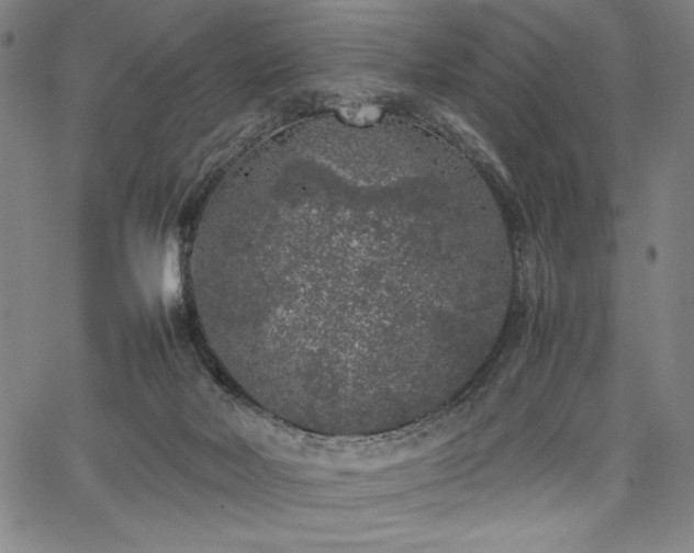 X0000067910026200604131355