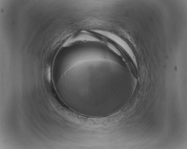 X0000067910027200604131355