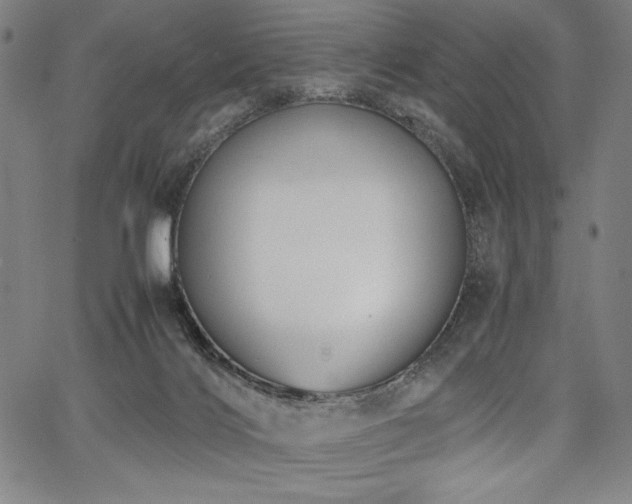 X0000067910028200604131354