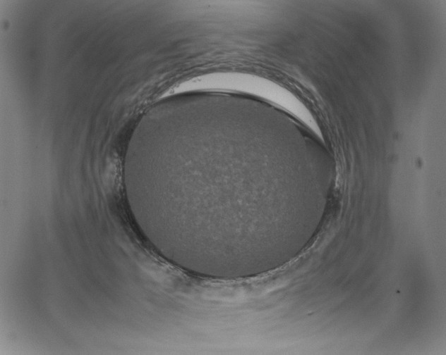 X0000067910029200604131354