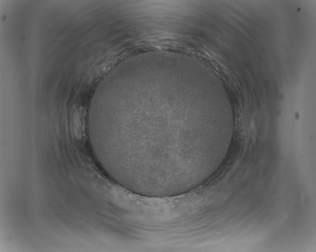 X0000067910030200604131354