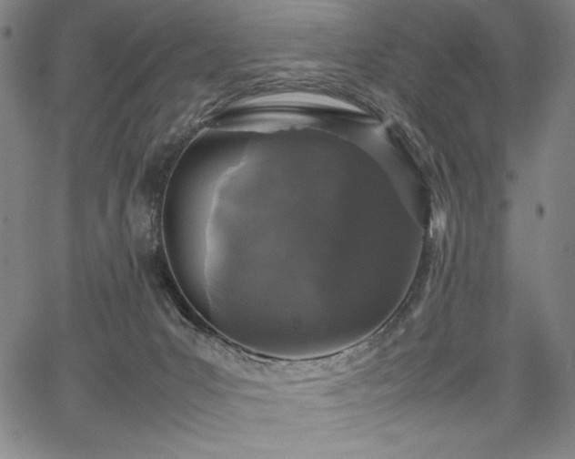 X0000067910031200604131354