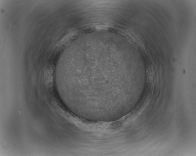 X0000067910032200604131354