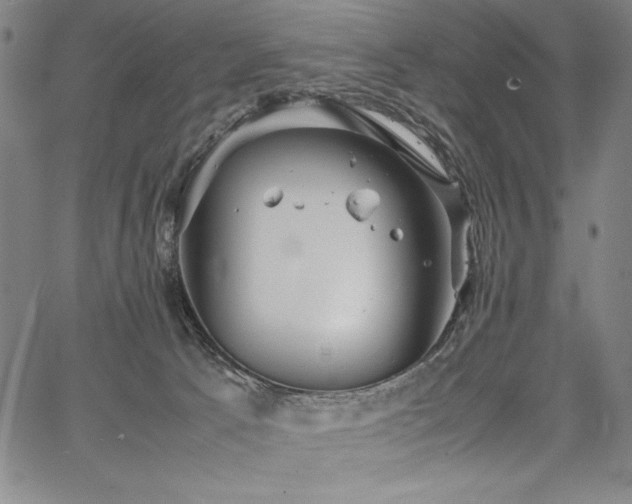 X0000067910033200604131354