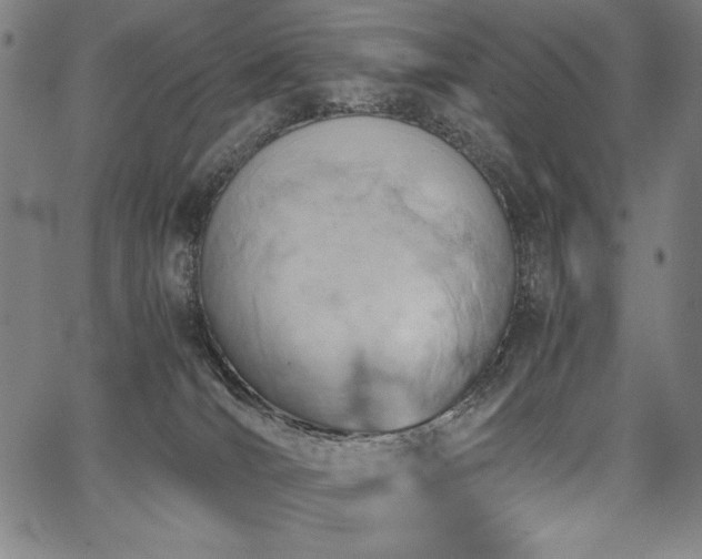 X0000067910036200604131354