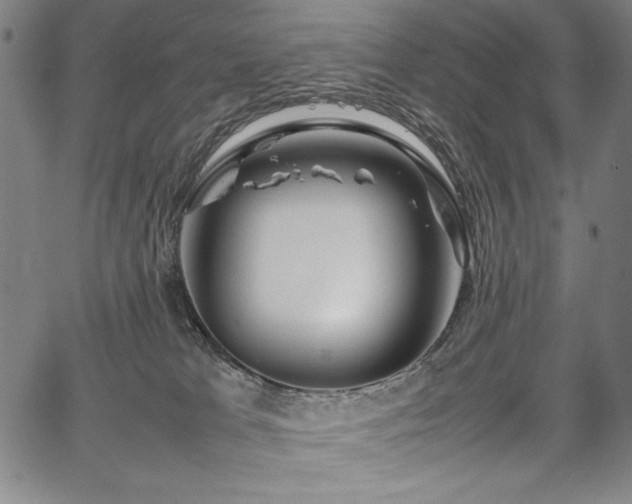 X0000067910037200604131354