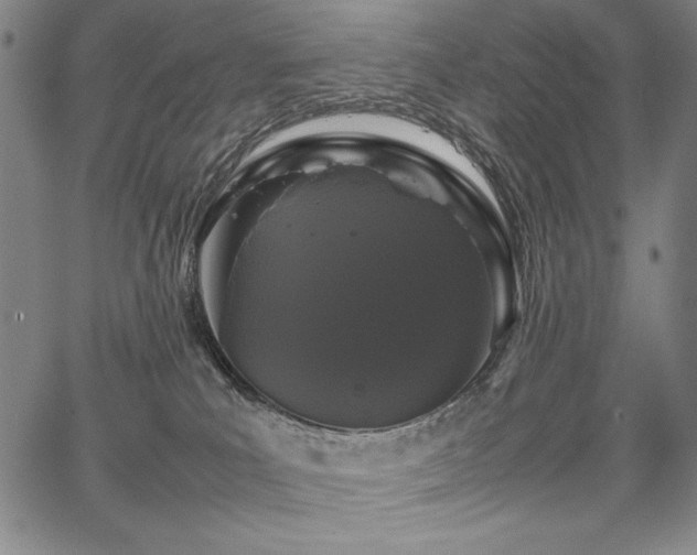 X0000067910039200604131354