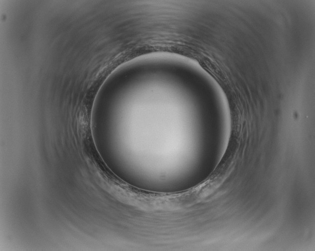 X0000067910040200604131354