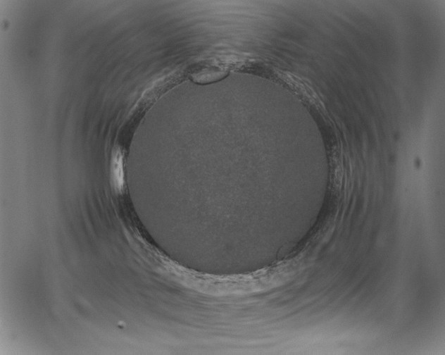 X0000067910042200604131354