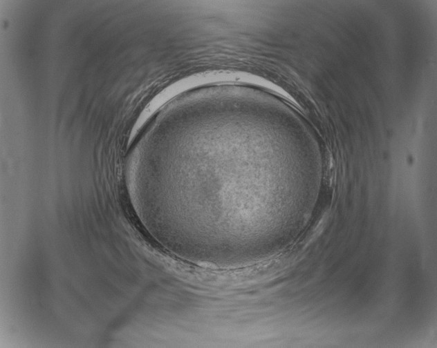 X0000067910043200604131354