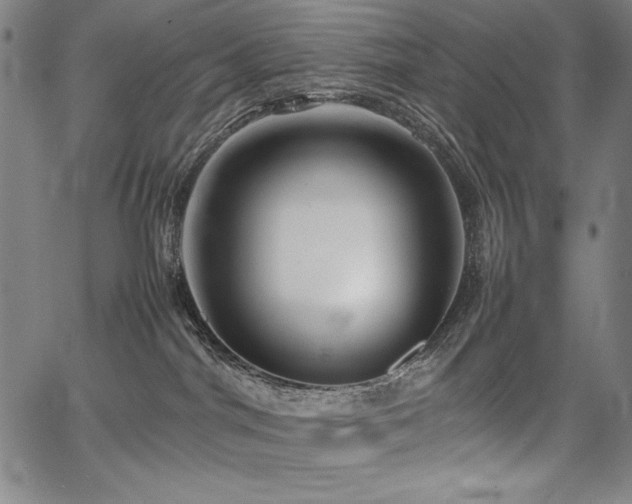 X0000067910044200604131354