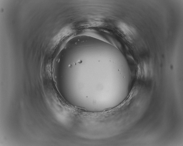 X0000067910045200604131354