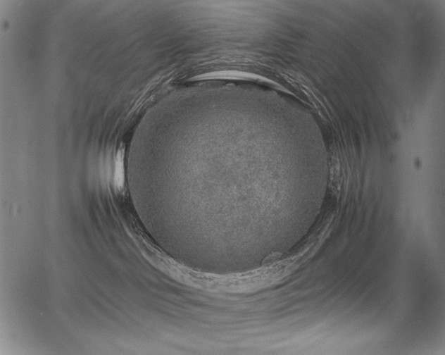 X0000067910046200604131354