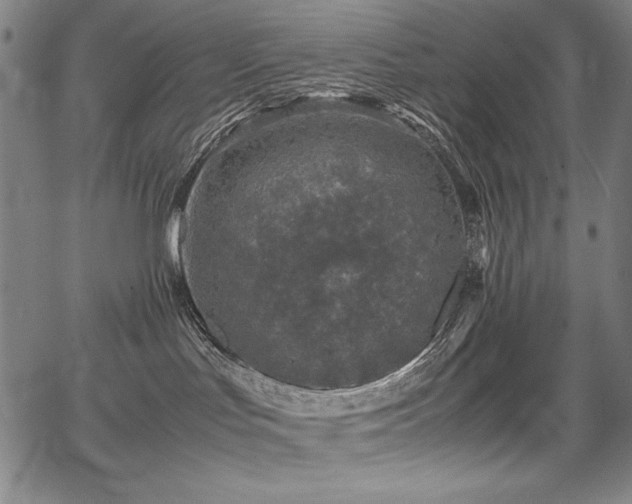 X0000067910047200604131354