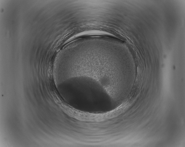 X0000067910048200604131354