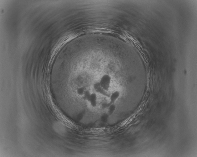 X0000067910049200604131353