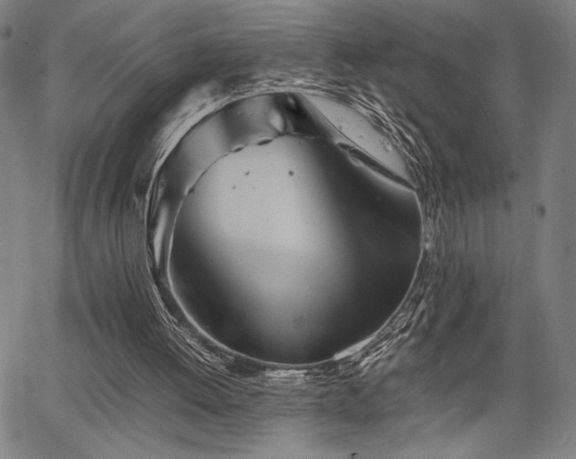 X0000067910052200604131353