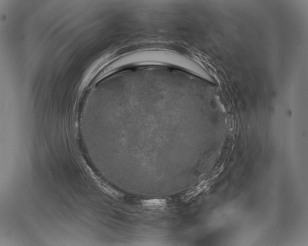 X0000067910053200604131353