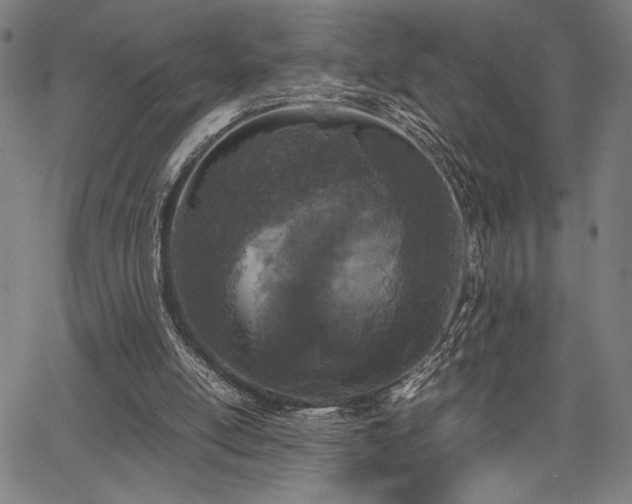 X0000067910054200604131353