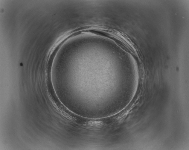 X0000067910055200604131353