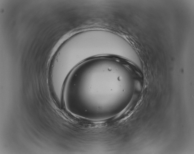 X0000067910056200604131354