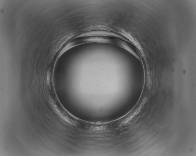 X0000067910057200604131354