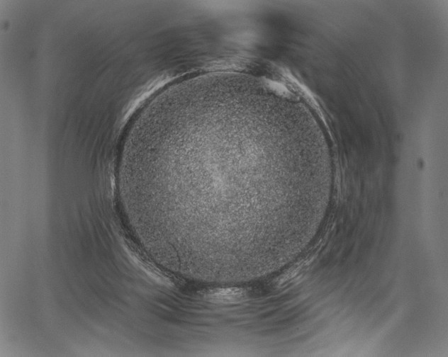 X0000067910059200604131354