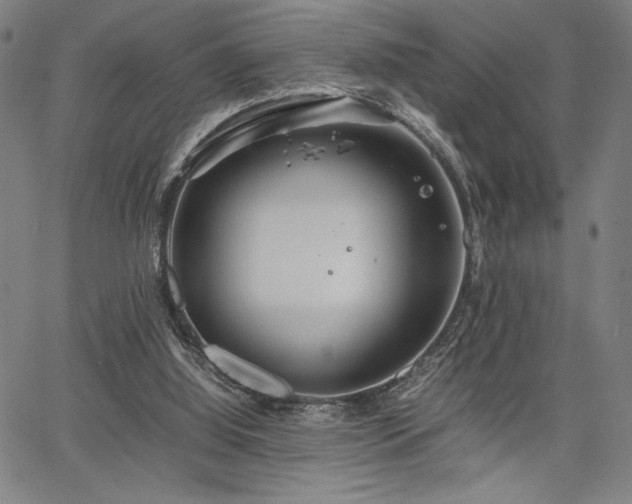 X0000067910060200604131354