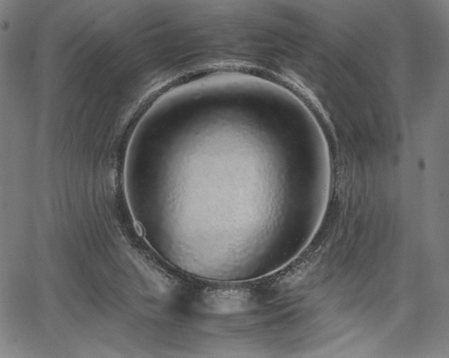 X0000067910063200604131354