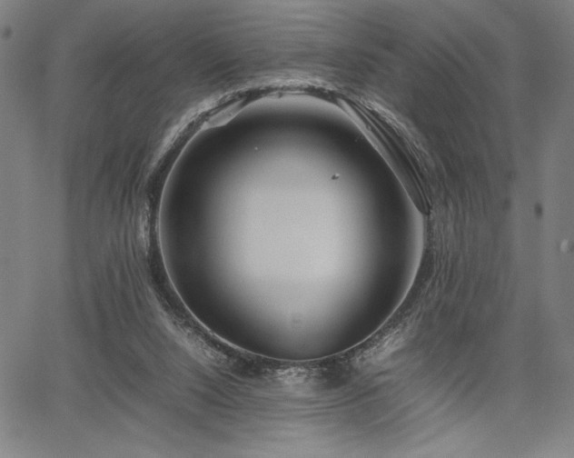 X0000067910064200604131354