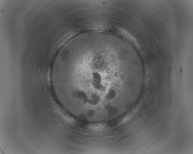 X0000067910065200604131354