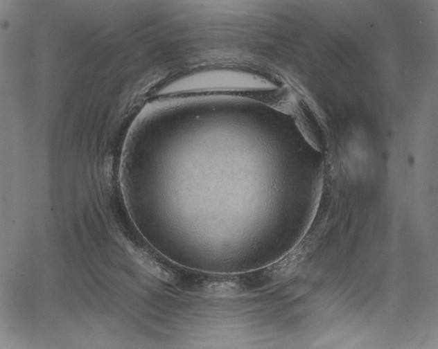 X0000067910066200604131354