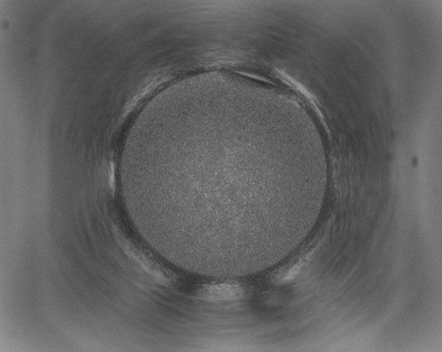 X0000067910067200604131354