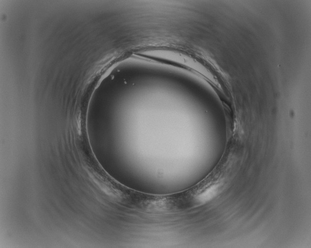 X0000067910068200604131354