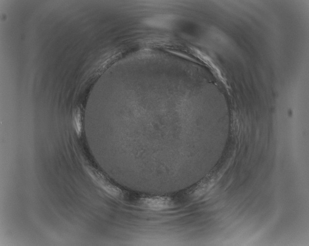 X0000067910069200604131354