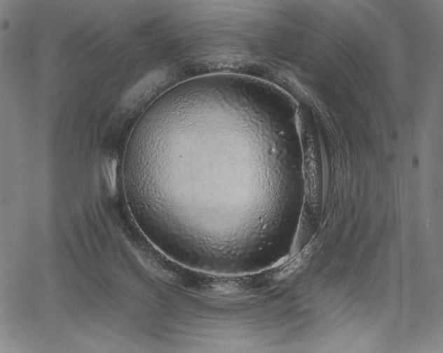 X0000067910070200604131354