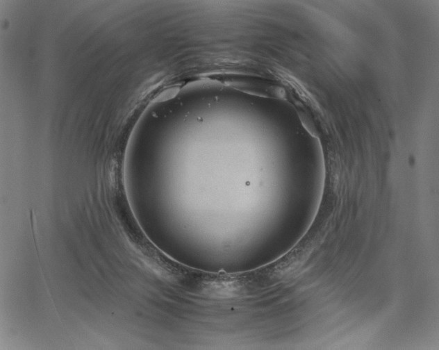 X0000067910071200604131354