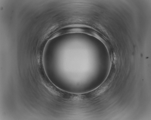 X0000067910072200604131354