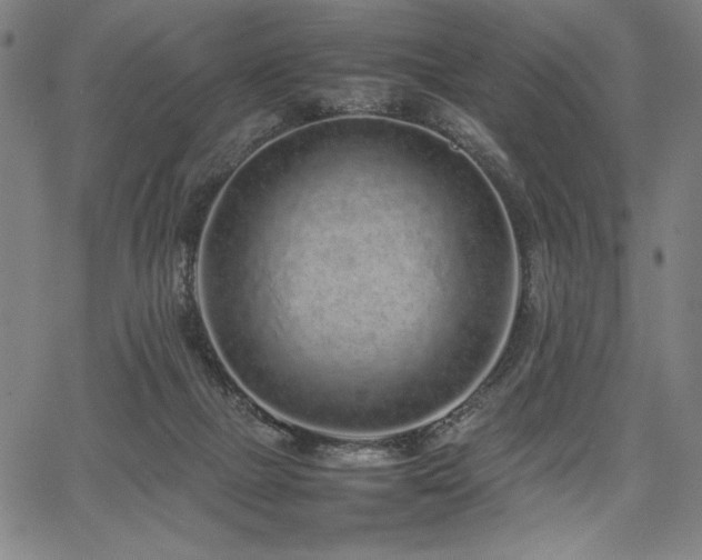 X0000067910073200604131354