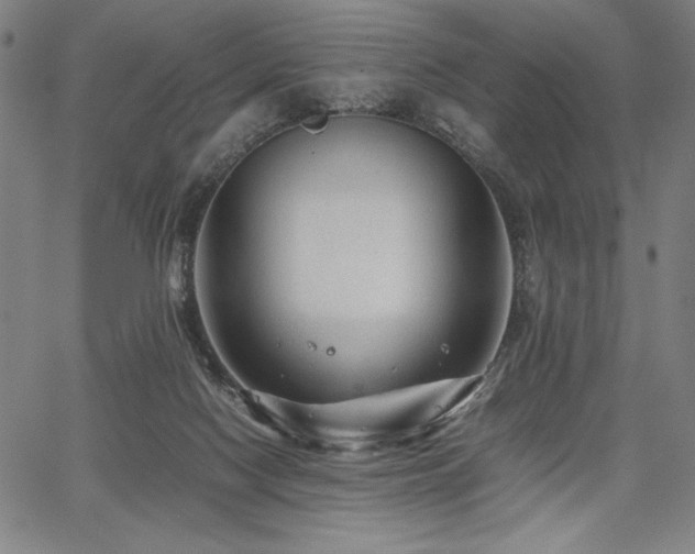 X0000067910074200604131354