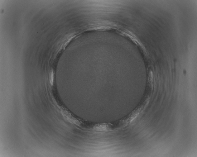 X0000067910076200604131354