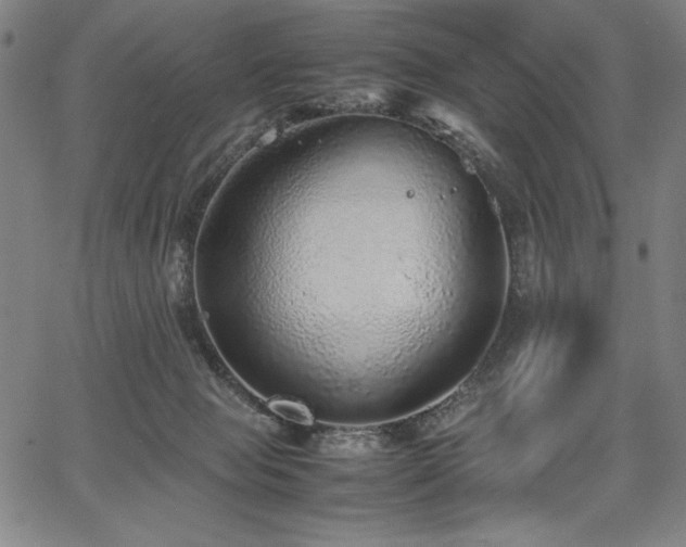 X0000067910077200604131354