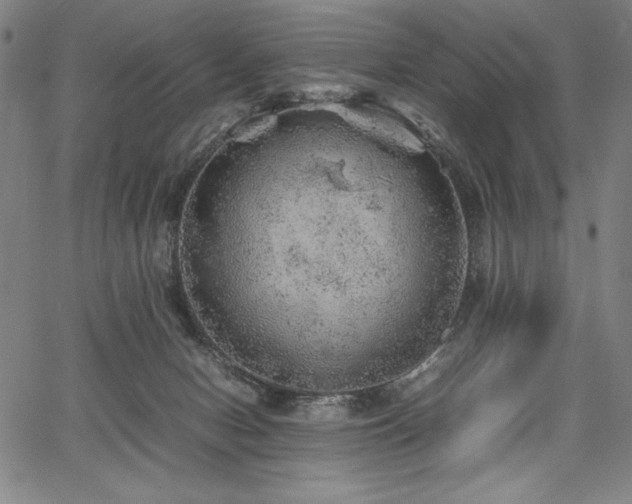 X0000067910078200604131354