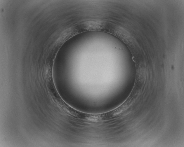 X0000067910079200604131354