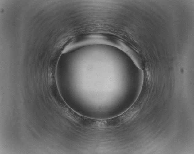 X0000067910080200604131354