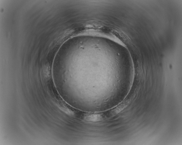 X0000067910081200604131354