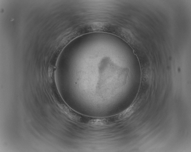 X0000067910082200604131354