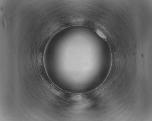 X0000067910083200604131354