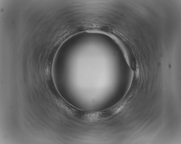 X0000067910084200604131354