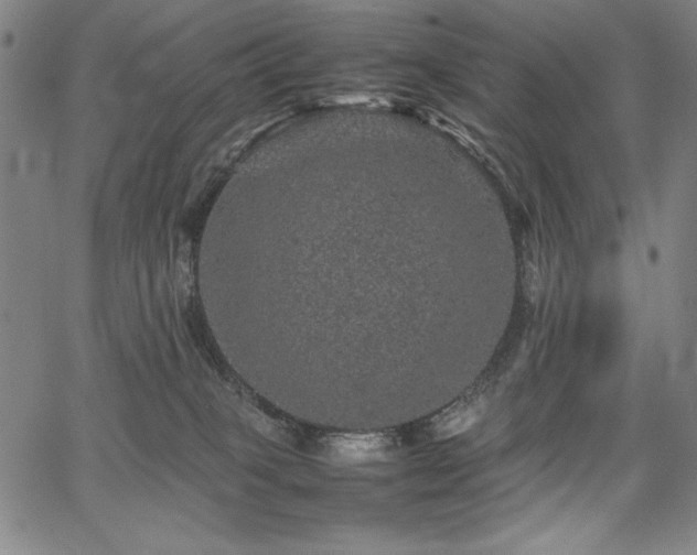 X0000067910085200604131354